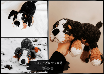 Bear the Bernese