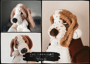 Boogie the Bassett Hound