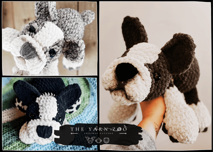 Burger the Boston Terrier