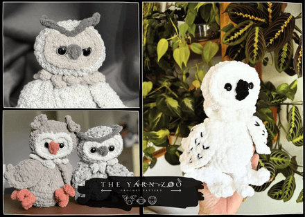 Hoot the Owl