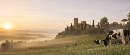 FS25 ETRURIA (Standard Quality textures)