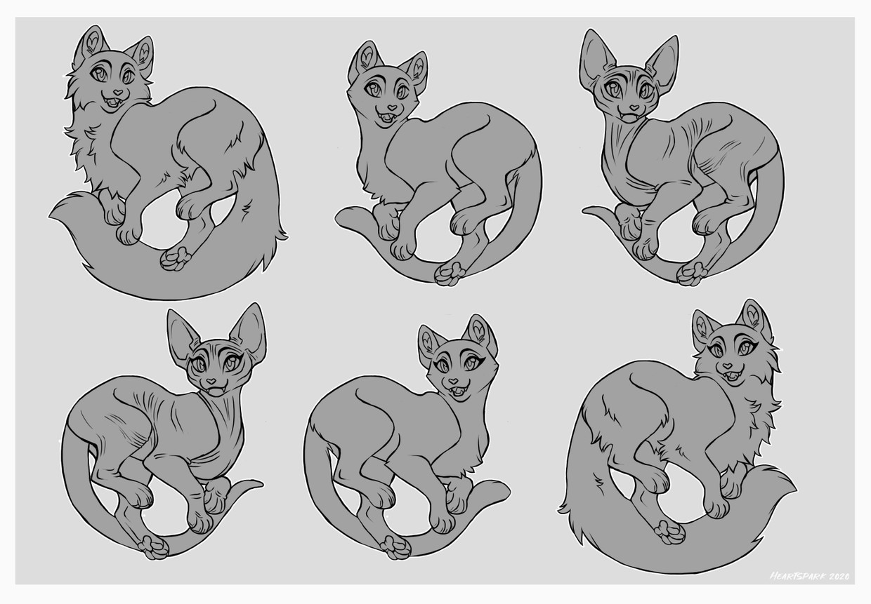 Warriors Reference Sheet Base Feline & Cat Lineart Base 