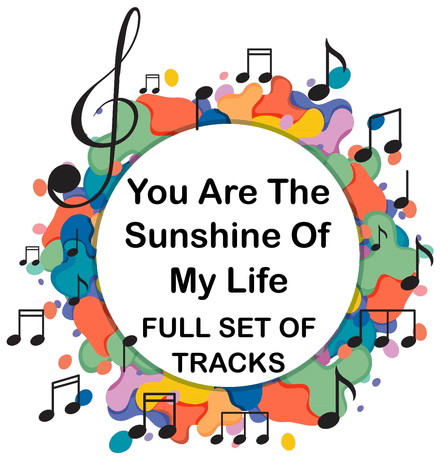 You Are The Sunshine of My Life FULL SET OF TRACKS