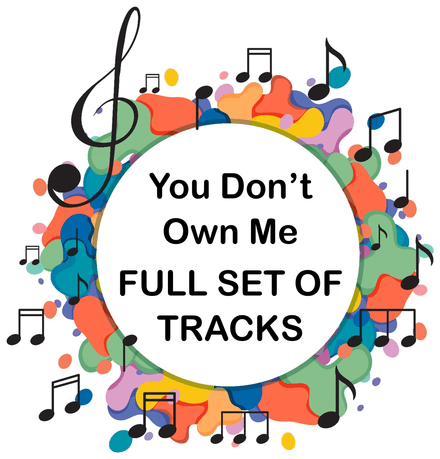 You Don&#x27;t Own Me FULL SET OF TRACKS