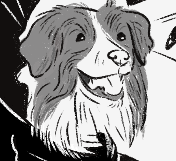 black and white sketch art drawing of the dog Oliver