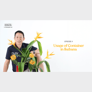 CFA Lines in Time ikebana Episode 4