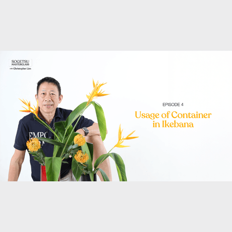 CFA Lines in Time ikebana Episode 4