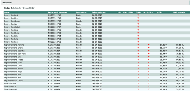 Ridgeback International Datenbank BASIS Kurs