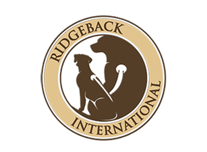 R.I.GE.P. Update 2026