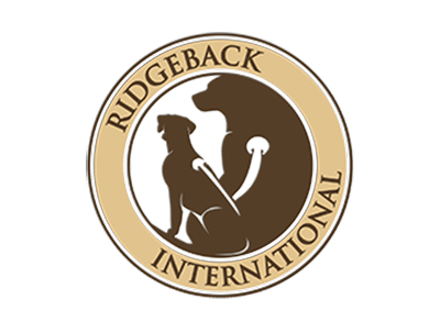 R.I.GE.P. Update 2026