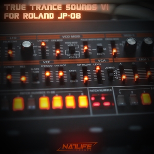 Roland JP-08 - True Trance Sounds VOL.1