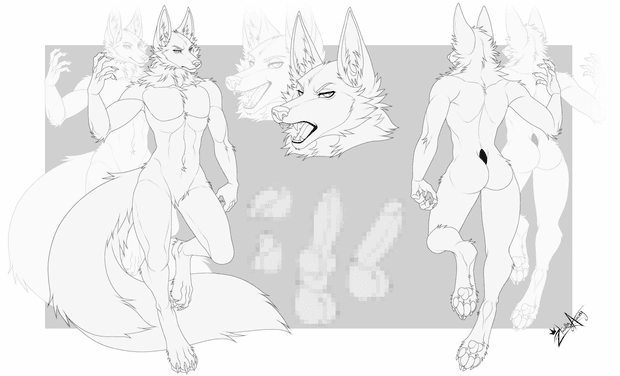 MALE FOX - Base