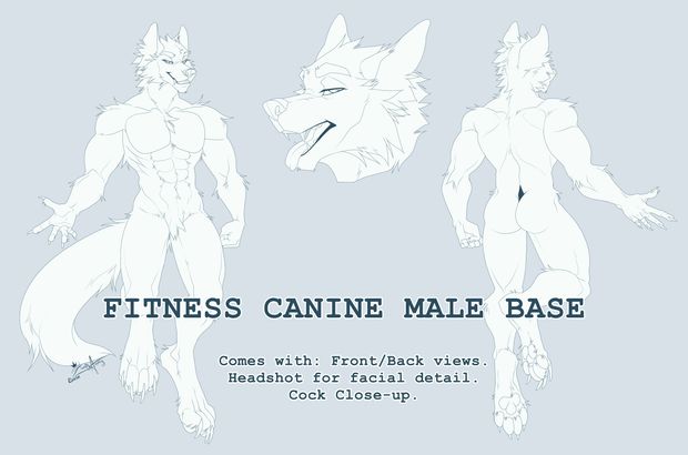 Male Fitness Base