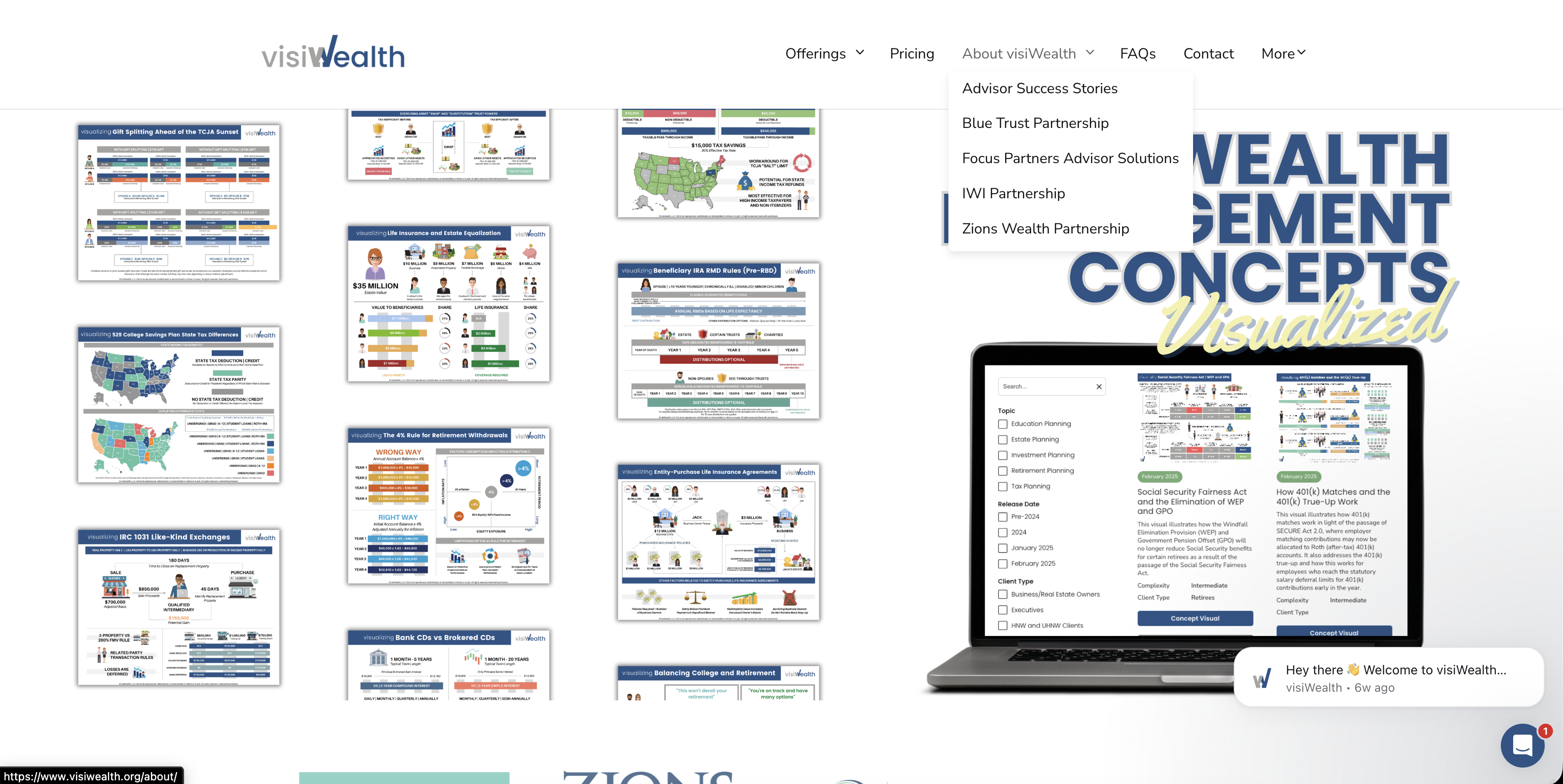 VisiWealth website screenshot