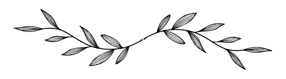 Decorative botanical divider