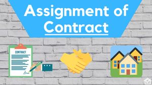 Assignment Contract and a BONUS collection of useful Docs!