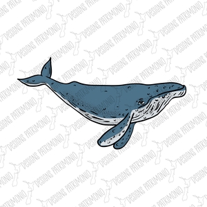 Humpback Whale Side View Blue Color Drawing EPS JPG