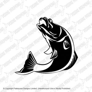 Barramundi Fish Jumping Up Isolated Black and White Retro