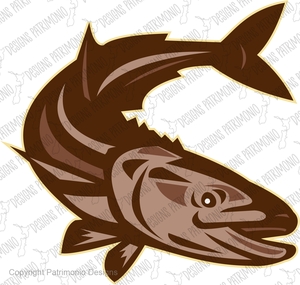 Cobia Fish Diving Down Retro Isolated Vector EPS JPG