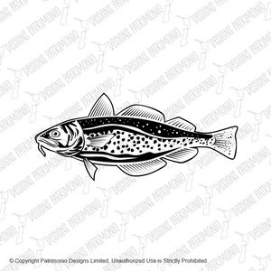 Atlantic Cod Gadus Morhua or Codling Side View Retro Style Black and White