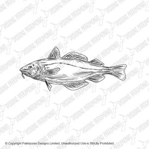 Atlantic Cod Codling Fish Viewed From Side Drawing Black and White