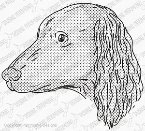 Murray River Retriever Dog Drawing With Halftone Dots