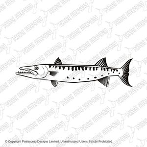 Barracuda or Sphyraena Barracuda Swimming Side Retro Black and White