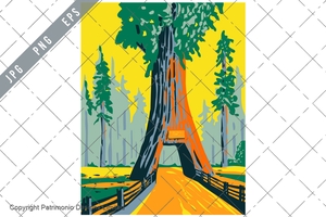 Chandelier Tree in Drive Thru Tree Park within Redwood National Park California WPA Poster Art