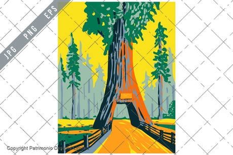 Chandelier Tree in Drive Thru Tree Park within Redwood National Park California WPA Poster Art