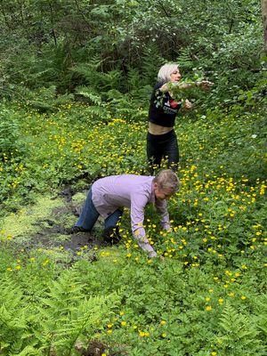 marelle trains suzanna