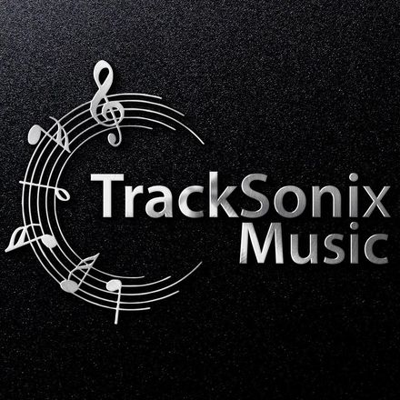 The Confrontation - Royalty Free Stock Music License Download - TrackSonix Music