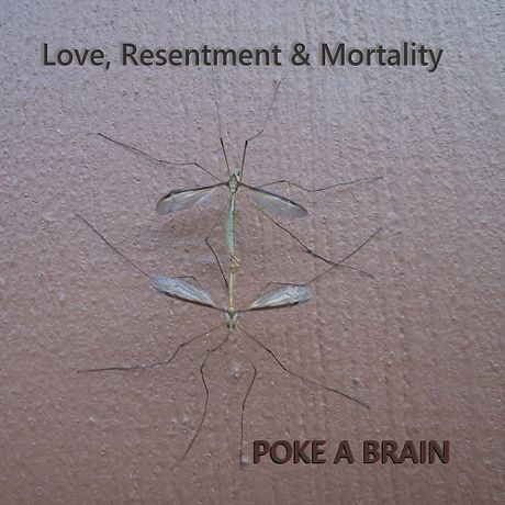 Poke A Brain / Love, Resentment &amp; Mortality