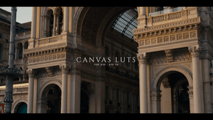 Canvas LUTS for R3D and R3D NE
