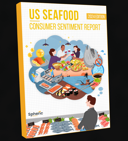 Sample - Consumer Sentiment Report  2024