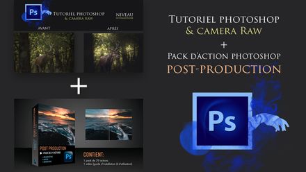 TUTORIEL PHOTOSHOP (photo du cerf) + PACK D&#x27;ACTIONS (post-production)