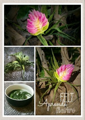 Tutorial digital course clase of felting 3 in 1