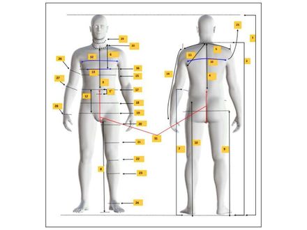 Mens Avatar Body Measurements Chart | Size 42