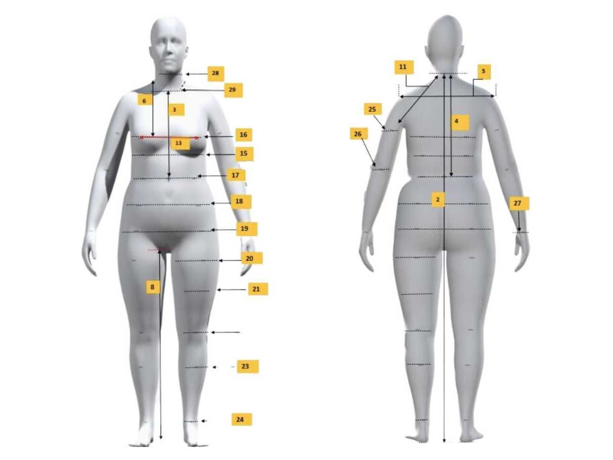 Avatar Body Measurements Chart | Womens US Sizing