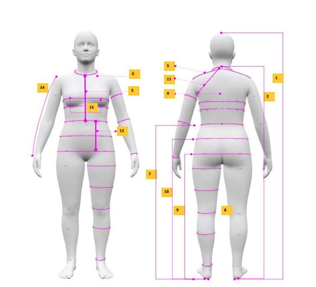 Women's Body Measurement Chart | Size 10 Large