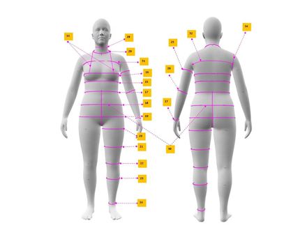 Women&#x27;s Body Measurement Chart | Size 14