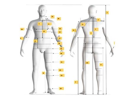 Mens Avatar Body Measurements Chart Size 40