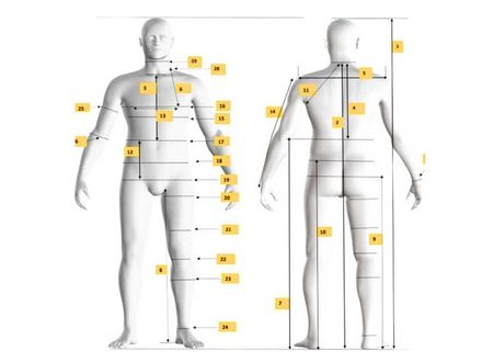 Men&#x27;s Avatar Body Measurements Chart | Size 40 (Chest 40&quot; | 101.6cm)