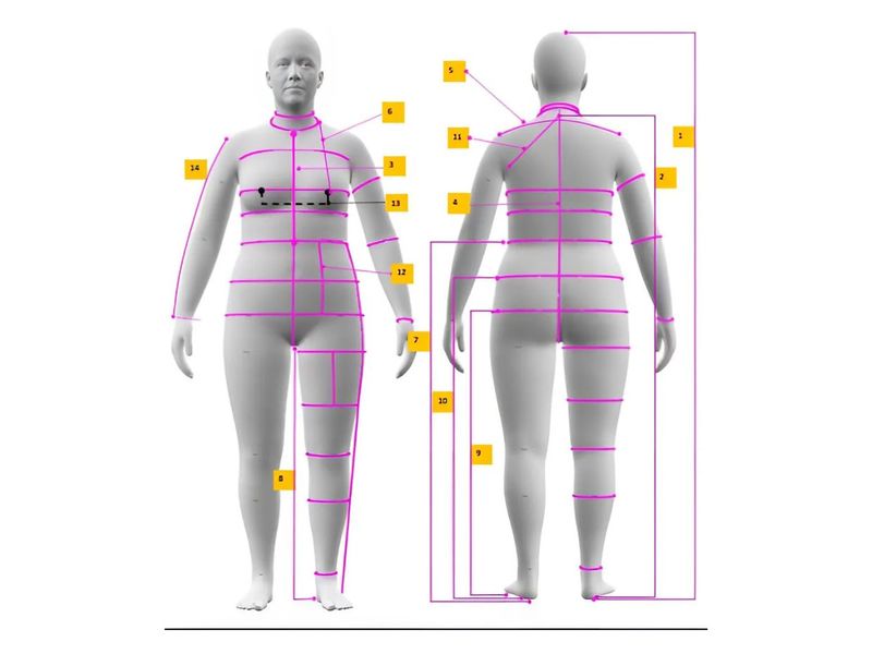 Avatar Body Measurements Chart | Womens US Sizing