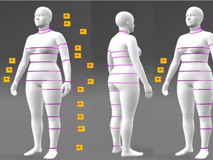 Women&#x27;s Body Measurement Chart | Size 12 