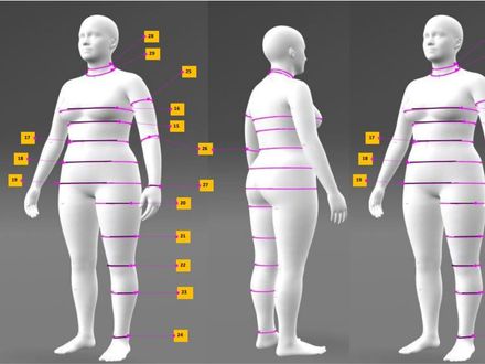 Women&#x27;s 3D Avatar Body Measurement Chart | Size 12 (Bust 38.8&quot; | 98.5 cm)