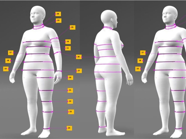 Body Measurements Chart | Womens Body US Size 12 | Lar
