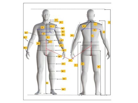 Mens Avatar Body Measurements Chart | Size 44