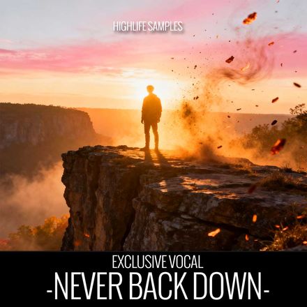 Never Back Down