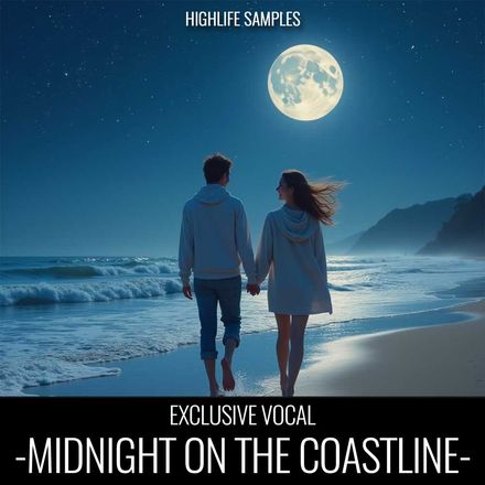 Midnight on the Coastline