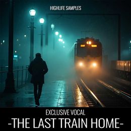 The Last Train Home